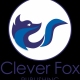 Top Book Publishing-Clever Fox...